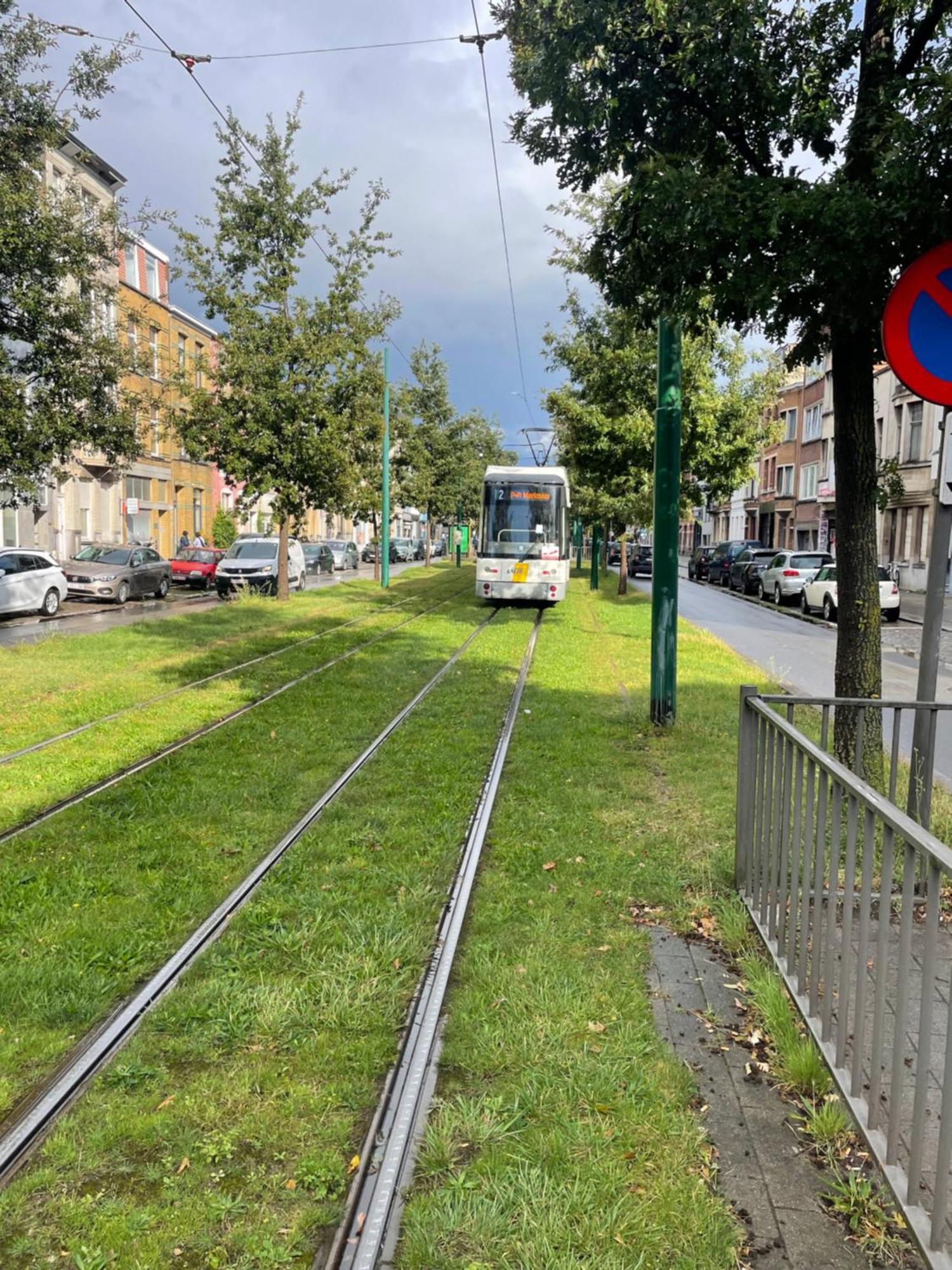 Chez Auguy Et Deborah Otel Anvers Dış mekan fotoğraf